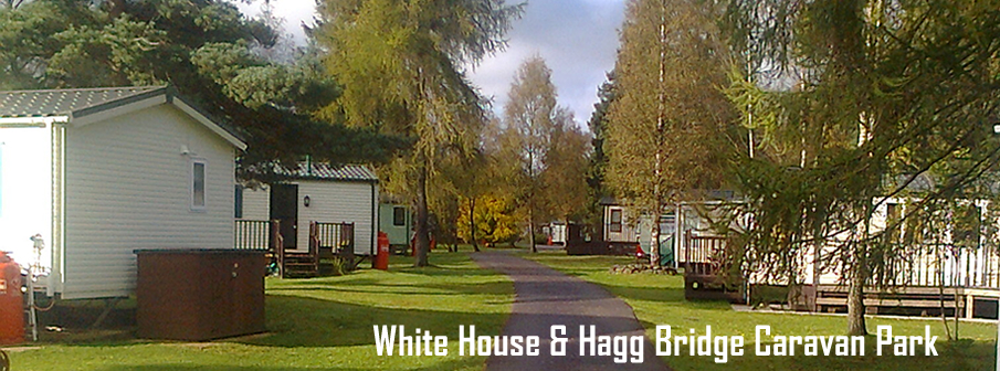 white house and hagg bridge caravan park